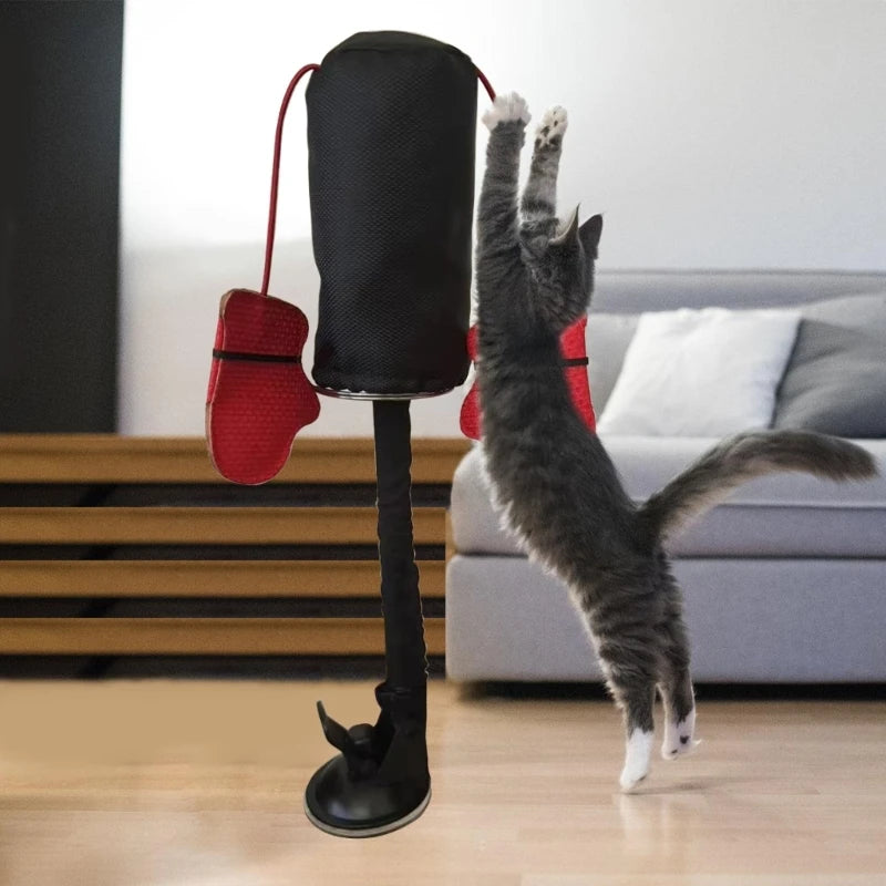 Boxing Bag Toy for Cats Toy Cats Toy Teasing with Boxing Gloves for Indoor Felines Play