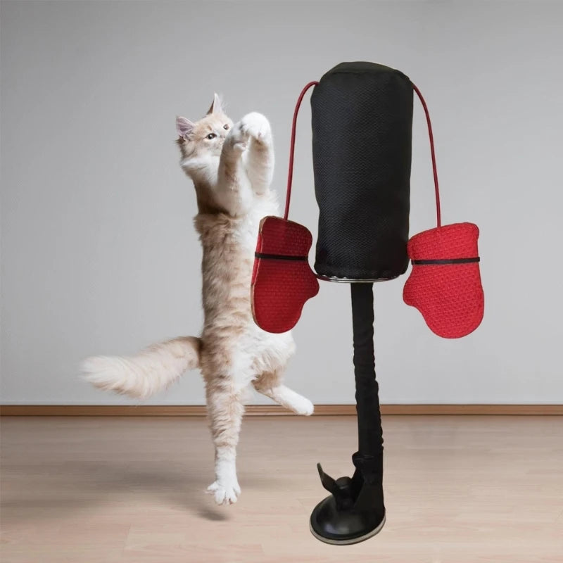 Boxing Bag Toy for Cats Toy Cats Toy Teasing with Boxing Gloves for Indoor Felines Play